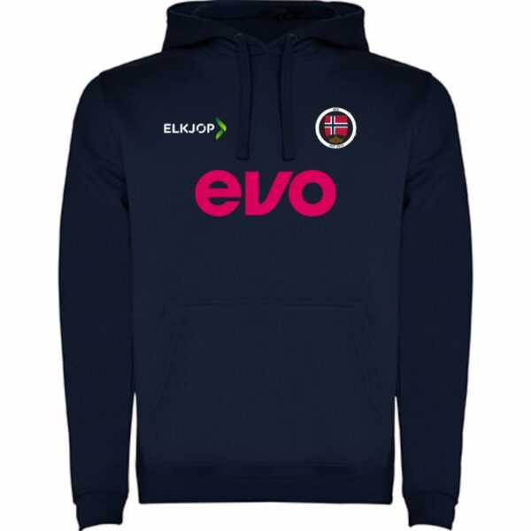Norske Gamere team hoodie